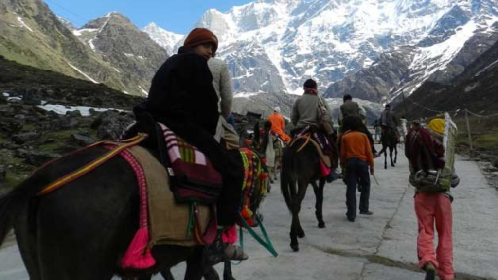 Kedarnath Horse Information